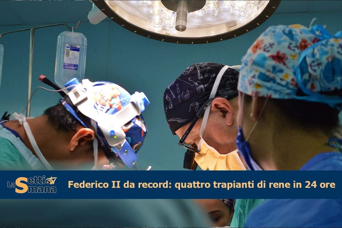 federico ii