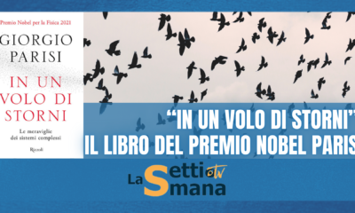 in un volo di storni