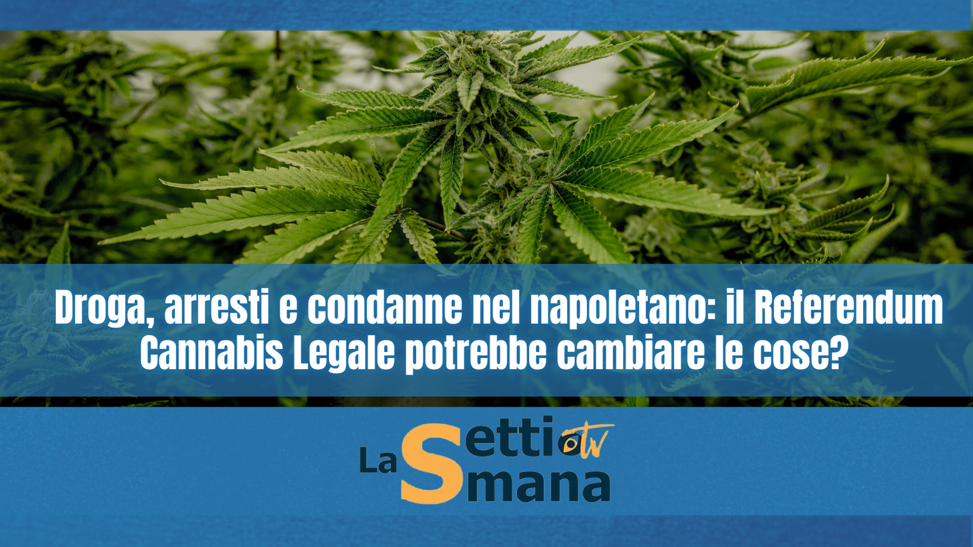 cannabis