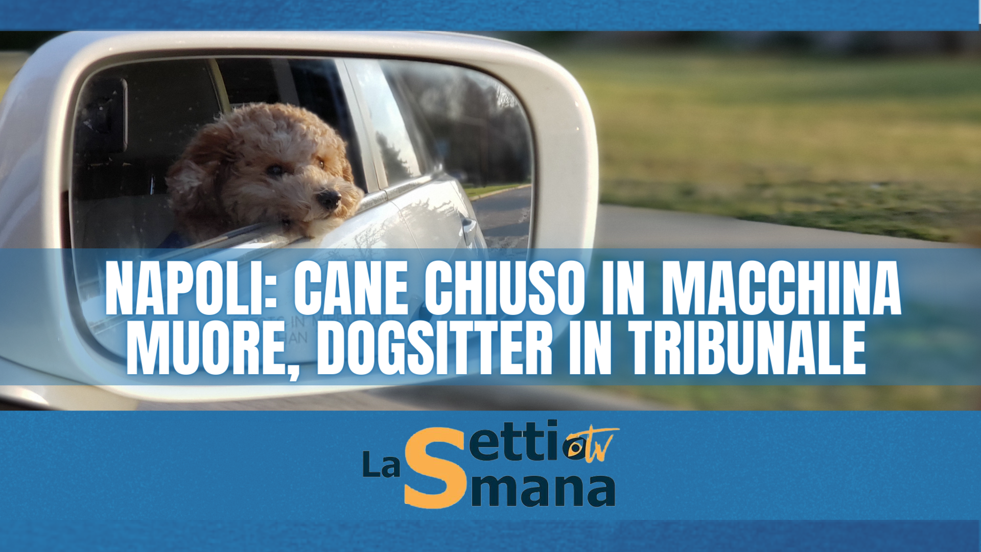 cane