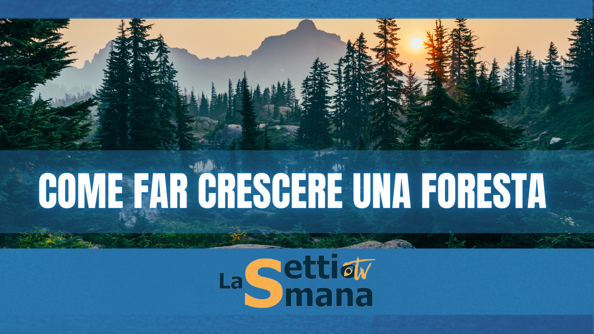 DEFORESTAZIONE
