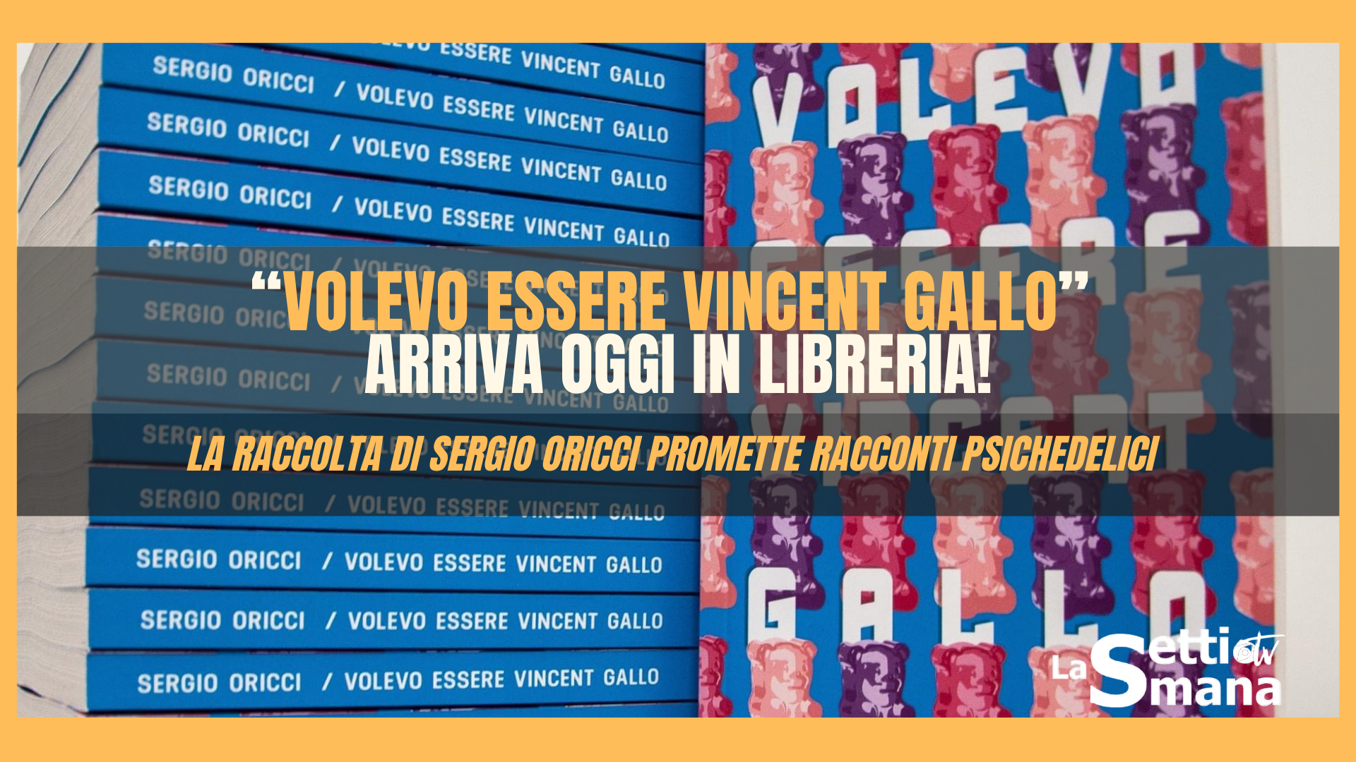 vincent gallo
