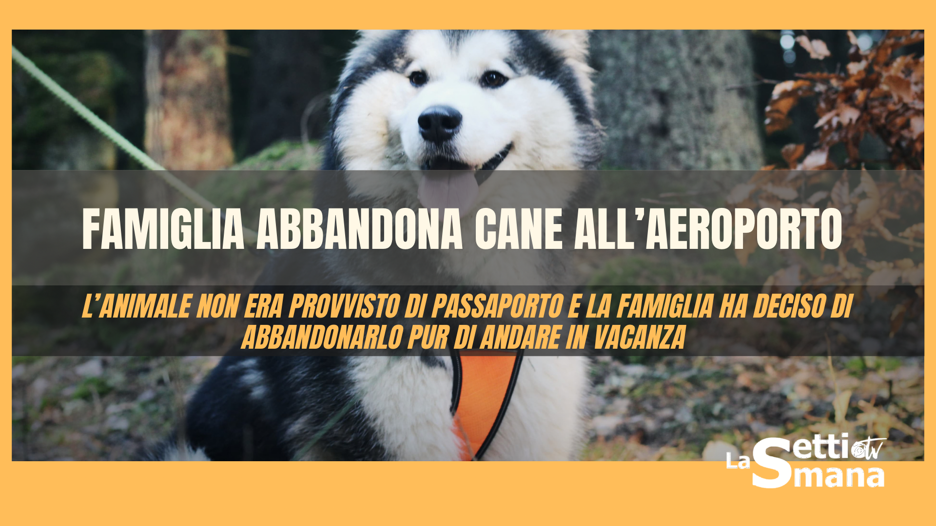cane