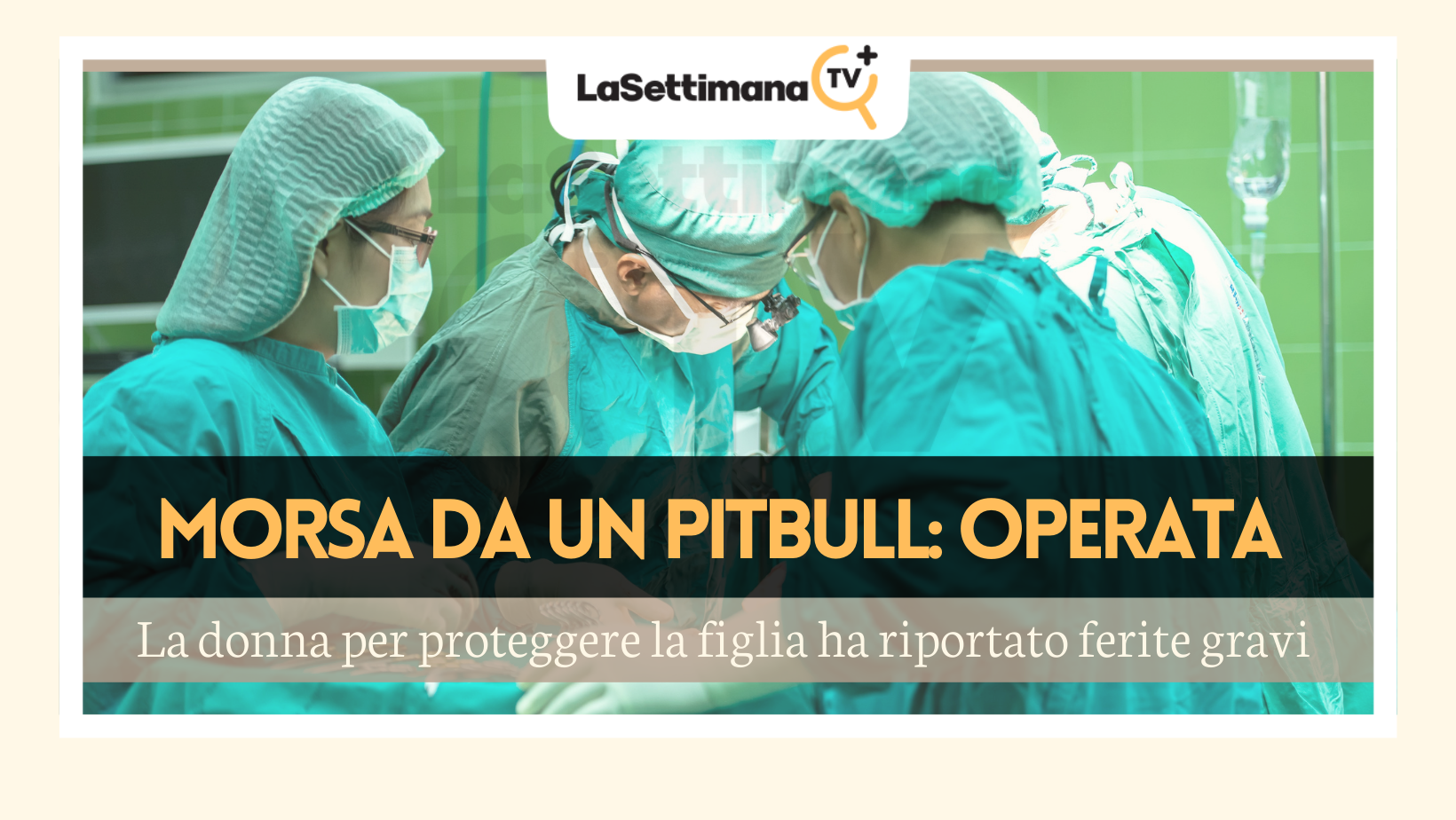 pitbull