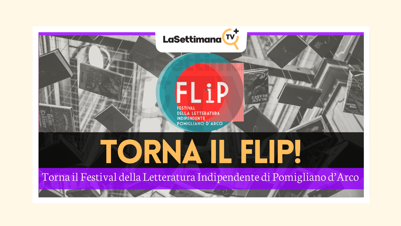 flip