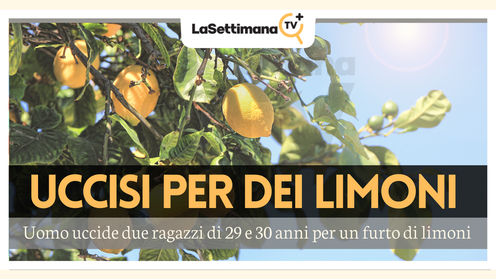 limoni