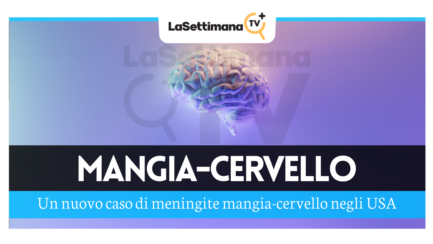 meningite
