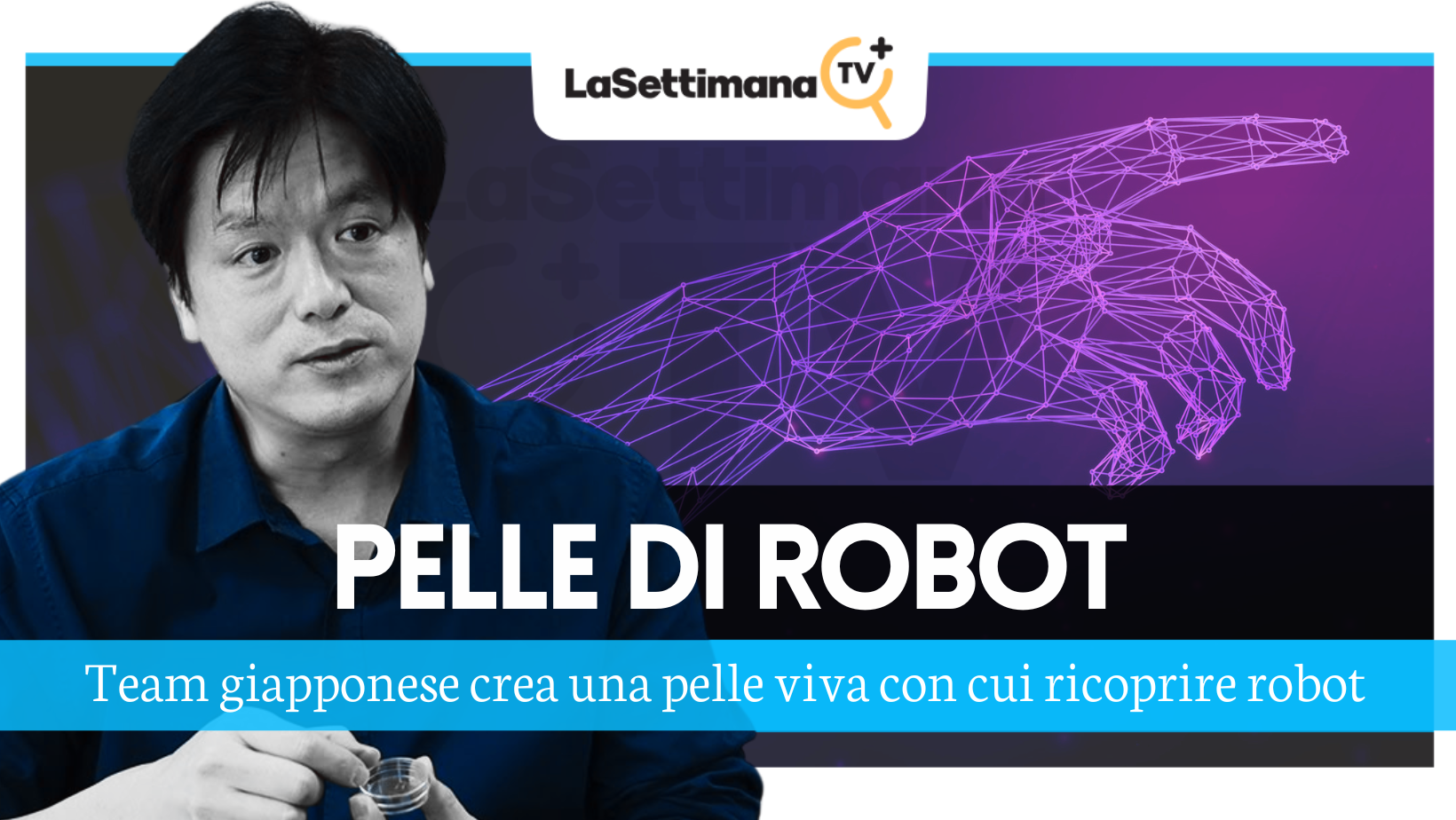 pelle di robot