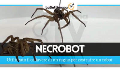 necrobot