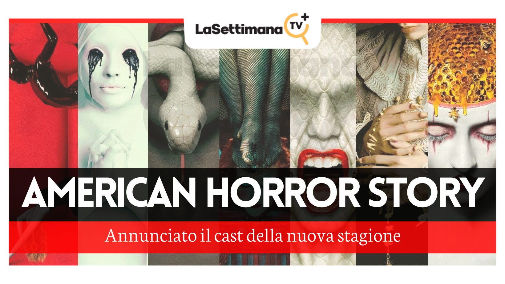 american horror story