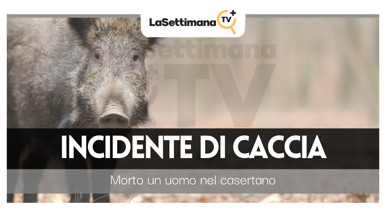incidente di caccia