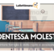 molesta