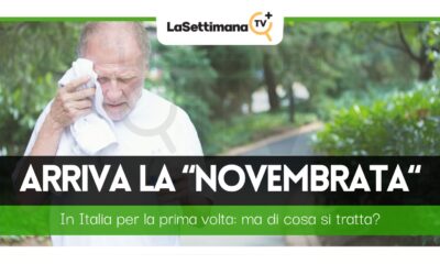 novembrata