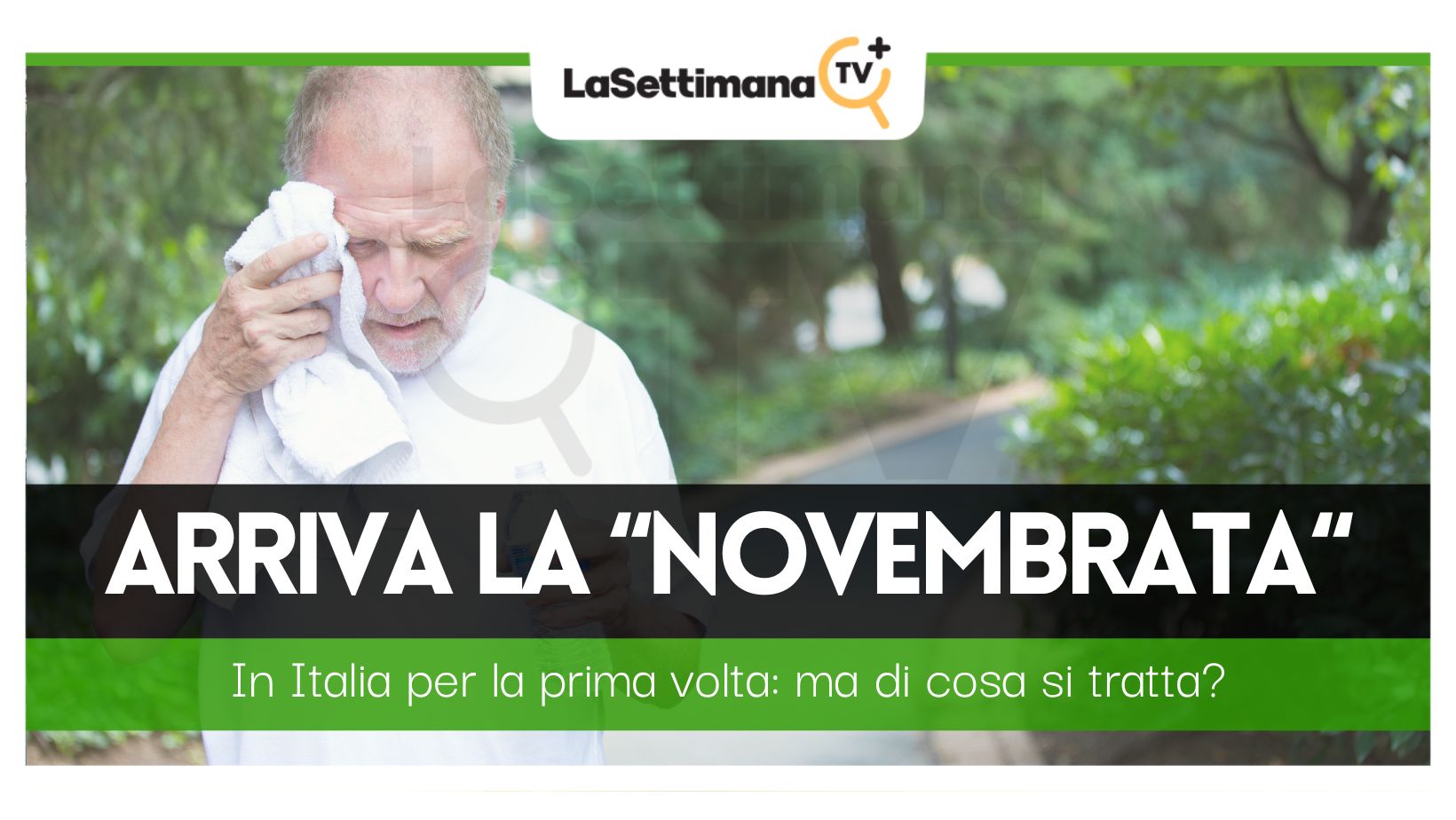 novembrata