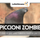 piccioni zombie