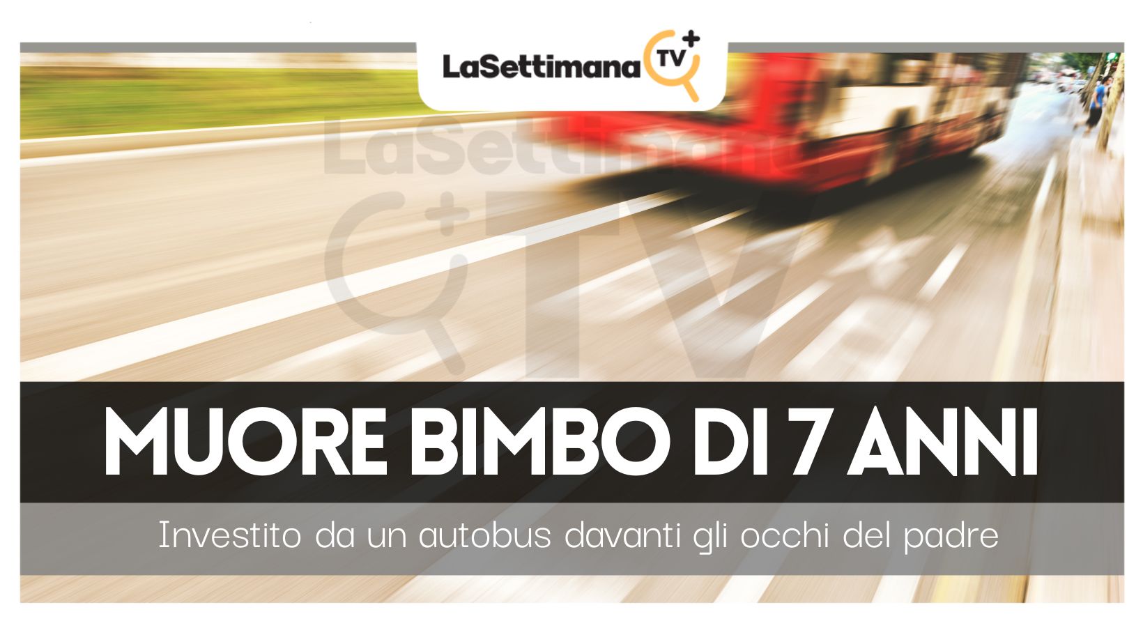 bambino