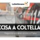 coltellate