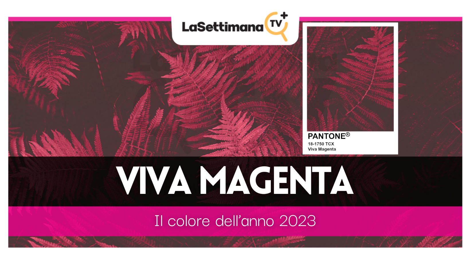 viva magenta