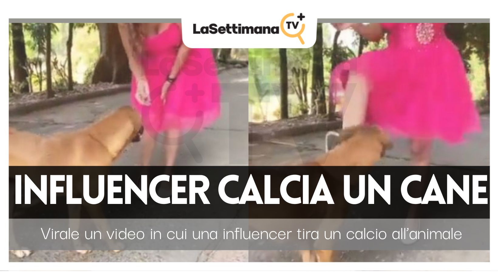 influencer