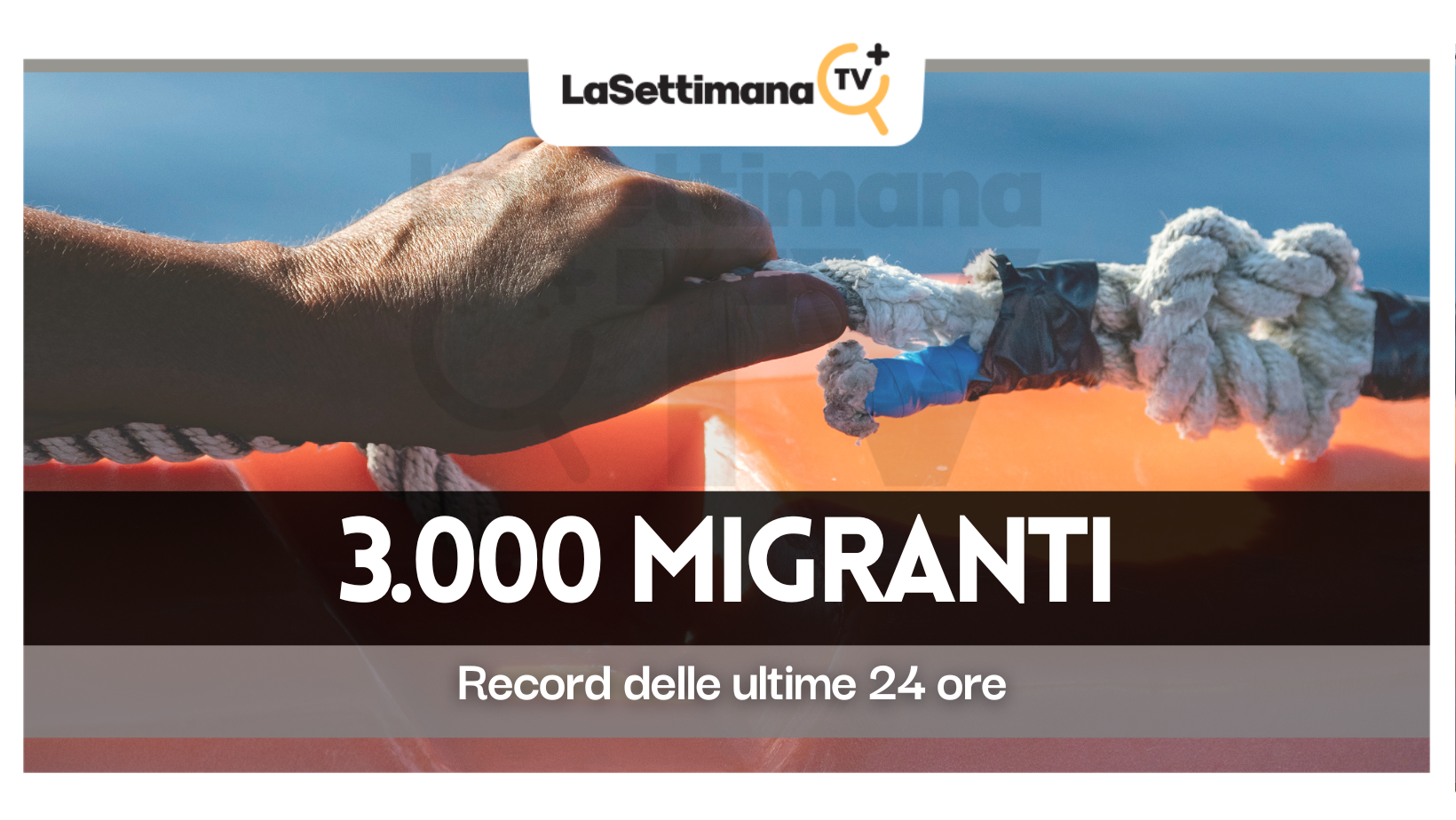 migranti
