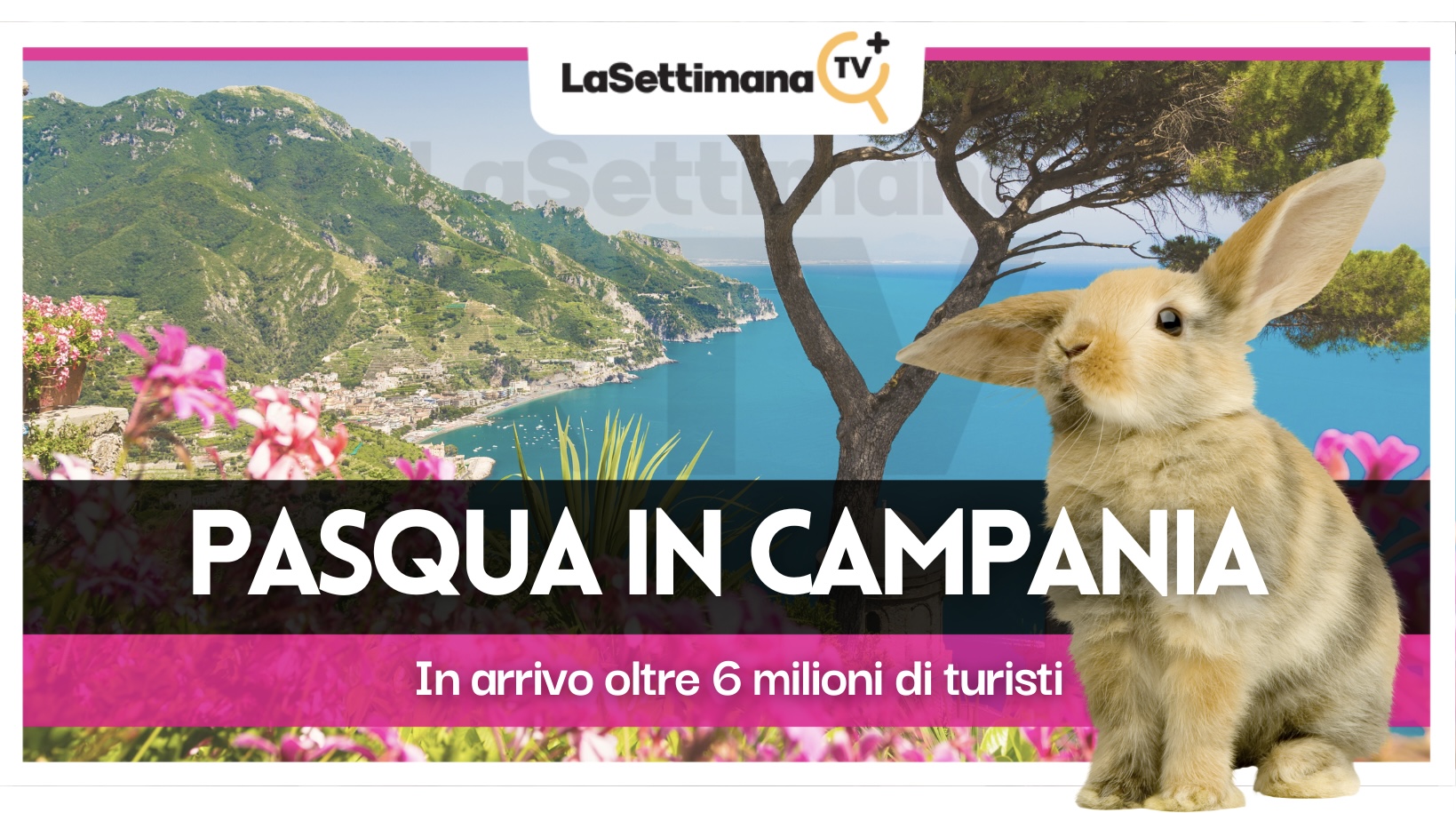 turisti