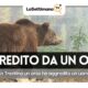 orso