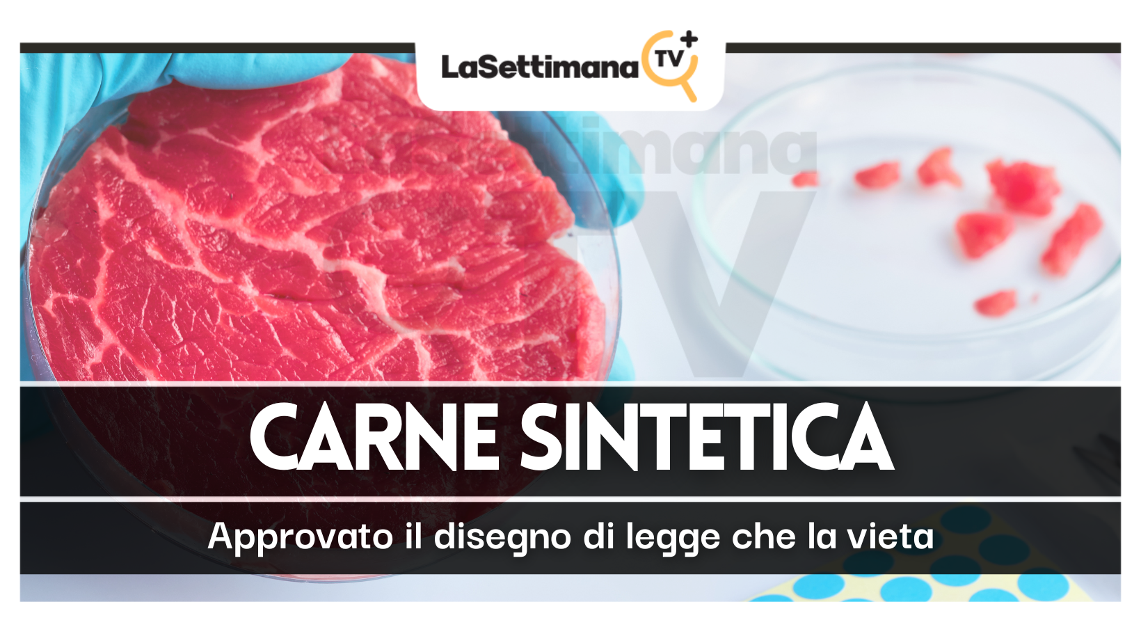 carne sintetica