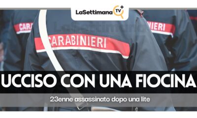 lite per la viabilità