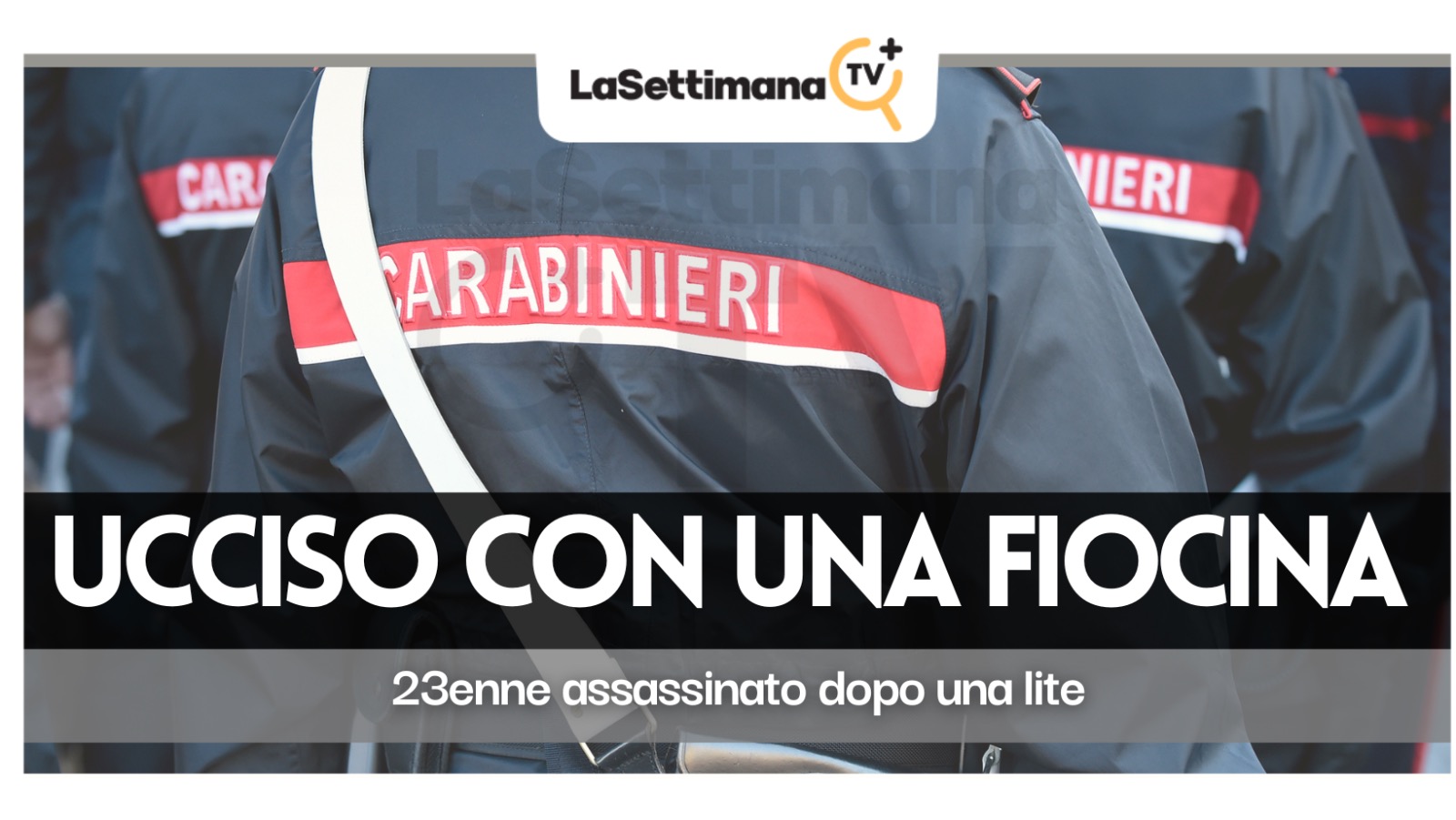 lite per la viabilità