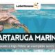 tartarughe marine