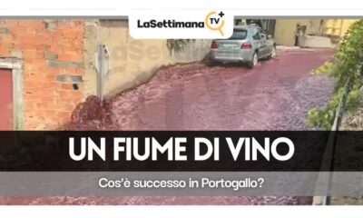 Un fiume di vino