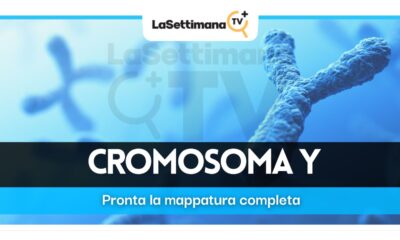 Scoperto il cromosoma Y