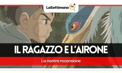 il ragazzo e l’airone