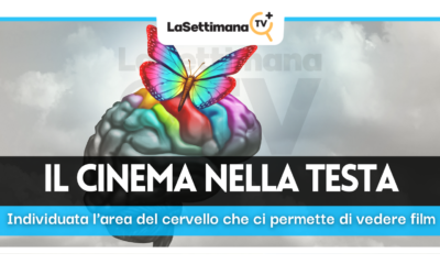 cervello