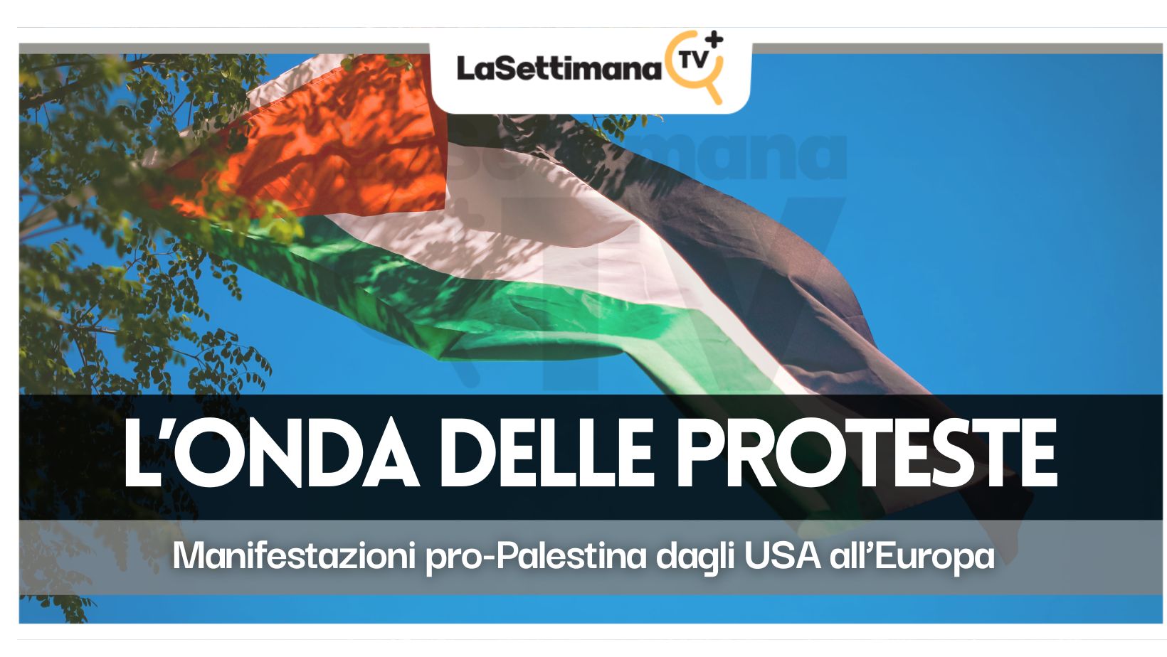 pro-Palestina