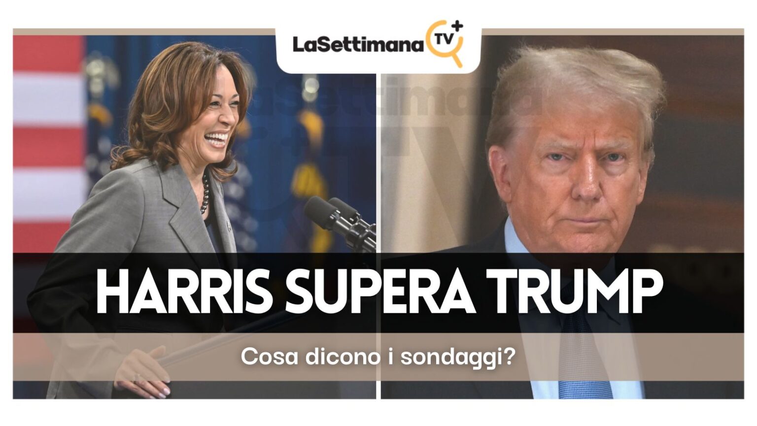 sondaggi