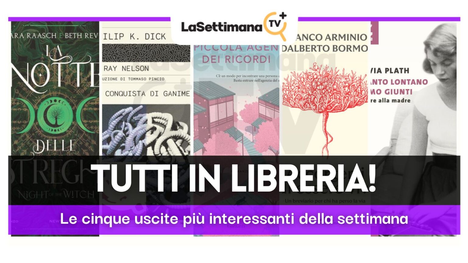 dal 20 al 26 agosto