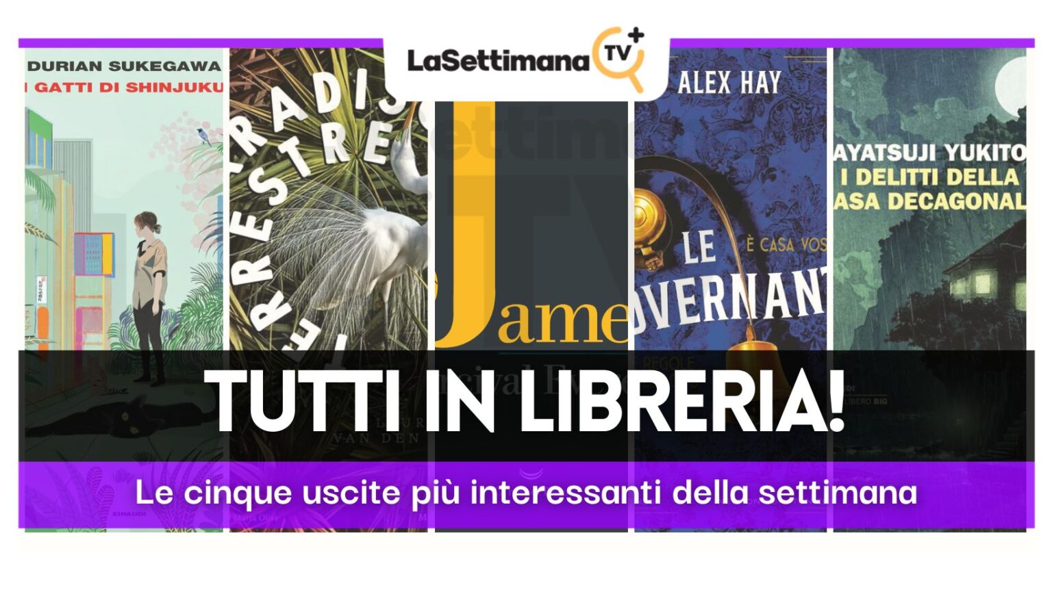 dal 27 agosto al 2 settembre