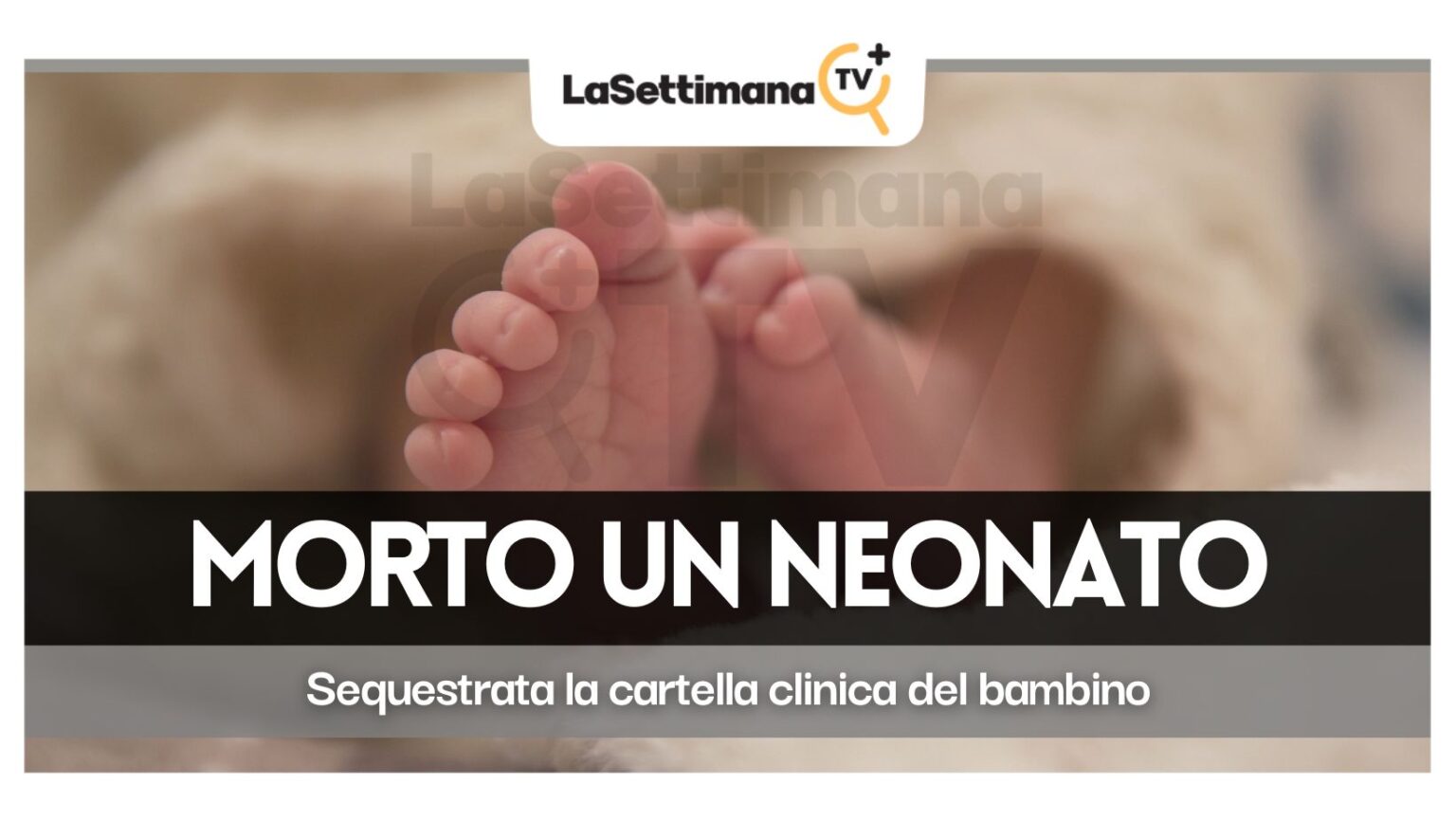 neonato