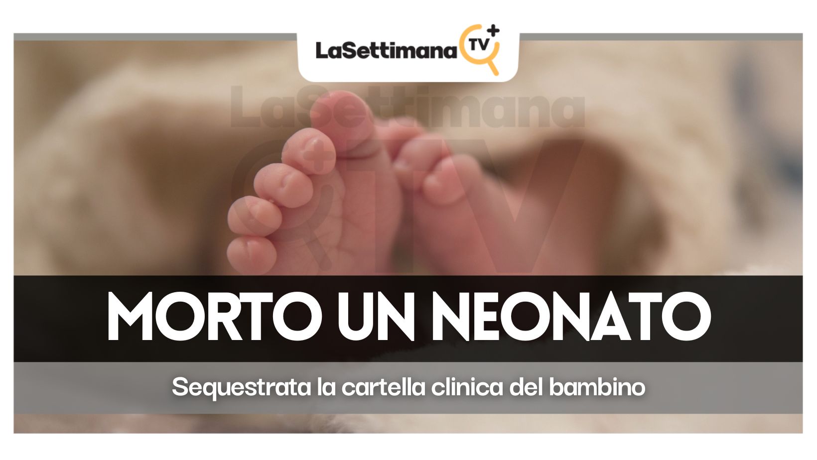 neonato